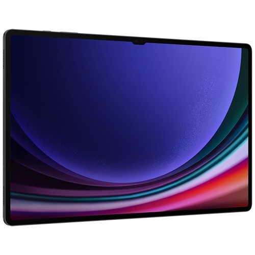 Планшет Samsung Galaxy Tab S9 Ultra Wi-Fi SM-X910 12/256Gb Graphite (Графитовый) EAC 4