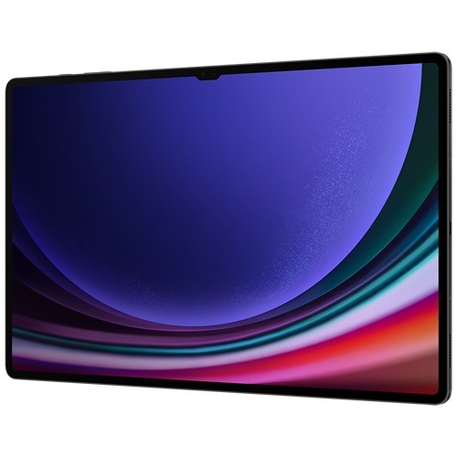Планшет Samsung Galaxy Tab S9 Ultra Wi-Fi SM-X910 12/256Gb Graphite (Графитовый) EAC 5