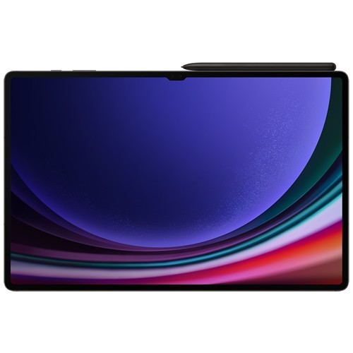 Планшет Samsung Galaxy Tab S9 Ultra Wi-Fi SM-X910 12/256Gb Graphite (Графитовый) EAC 6