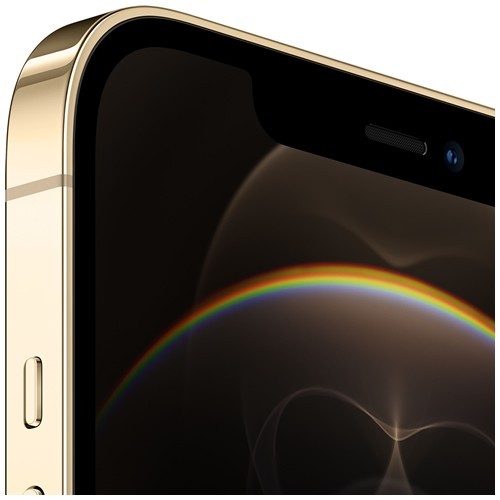 Смартфон Apple iPhone 12 Pro Max 256Gb Gold (Золотистый) MGDE3RU/A 2