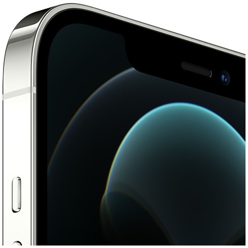 Смартфон Apple iPhone 12 Pro Max 512Gb Silver (Серебристый) MGDH3RU/A 2