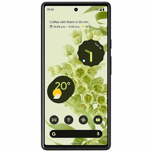 Смартфон Google Pixel 6 8/128Gb Sorta Seafoam (Зеленый) Japan Version 2