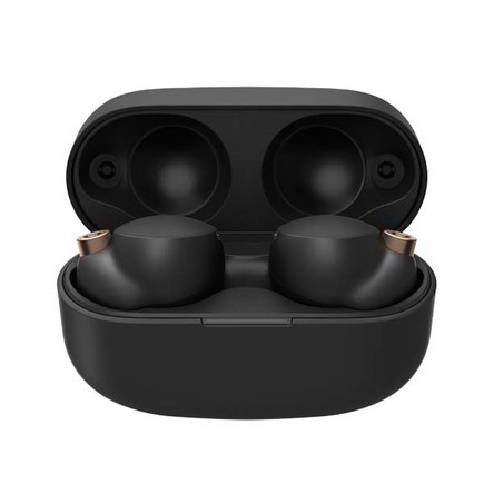 Беспроводные наушники Sony WF-1000XM4 Black (Черный) 6