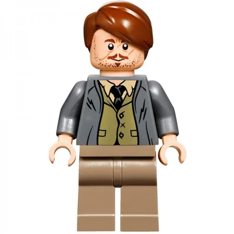 LEGO Harry Potter "Хогвартс-экспресс" 75955 3
