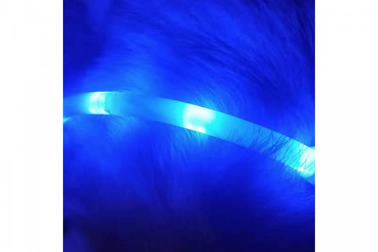 Светящийся ошейник Little Beast Glowing Collar LED XL81-5001 4