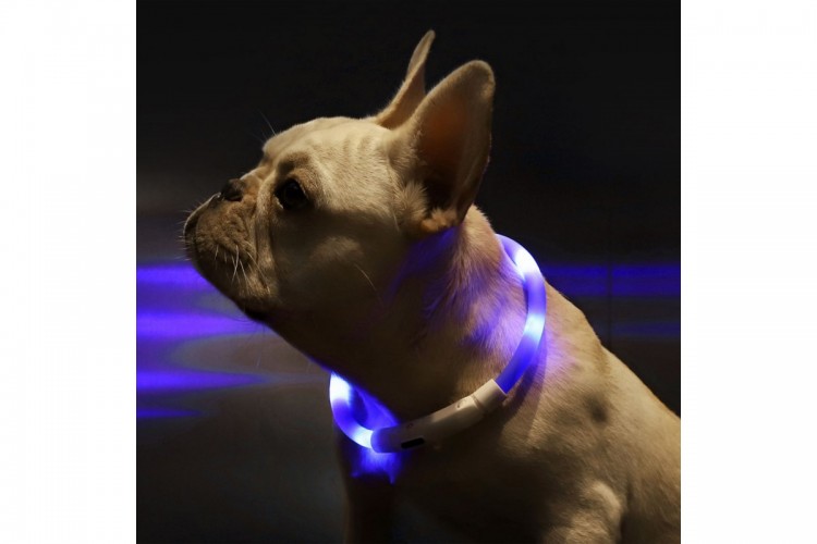 Светящийся ошейник Little Beast Glowing Collar LED XL81-5001 2