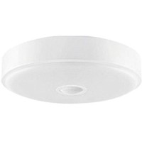 Светильник Xiaomi Yeelight LED Ceiling Lamp 250mm Mini White (Белый) EAC