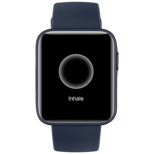 Часы Xiaomi Mi Watch Lite Navy Blue (Синий) EAC 5